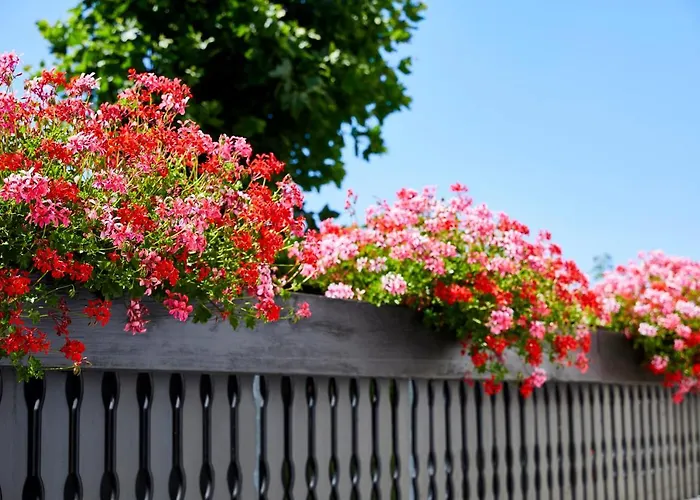 Sonnenhof 4* Dietzenbach